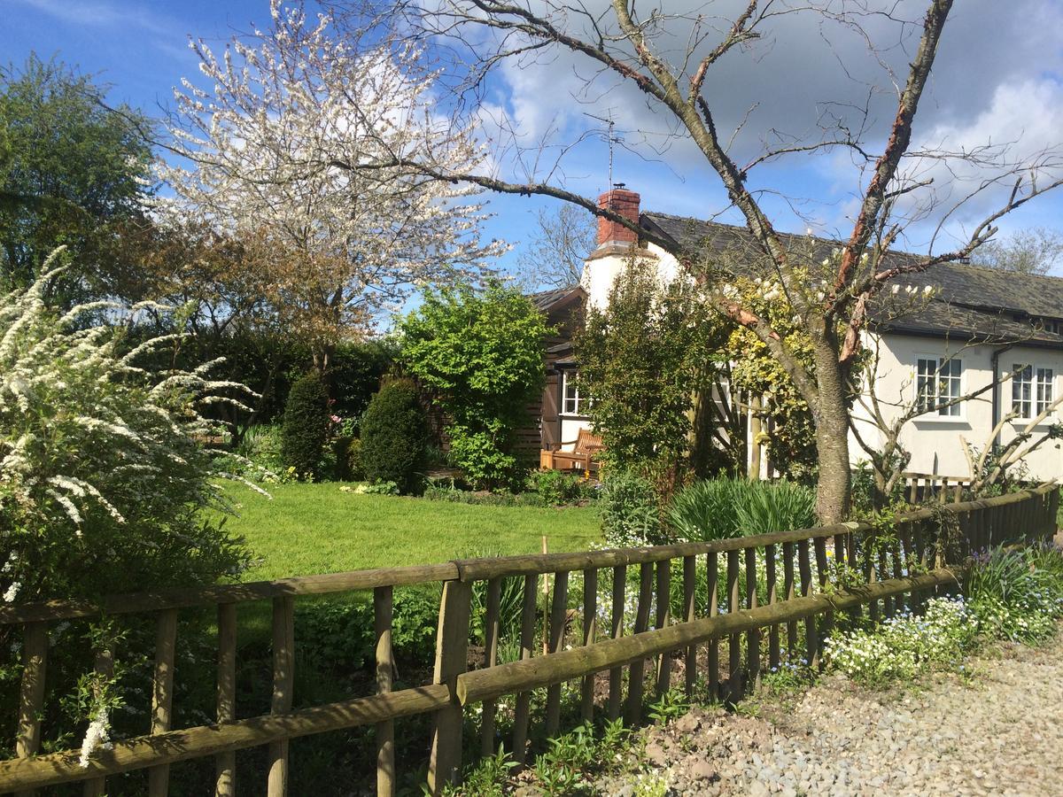 Yew Tree Cottage Leominster Exteriör bild