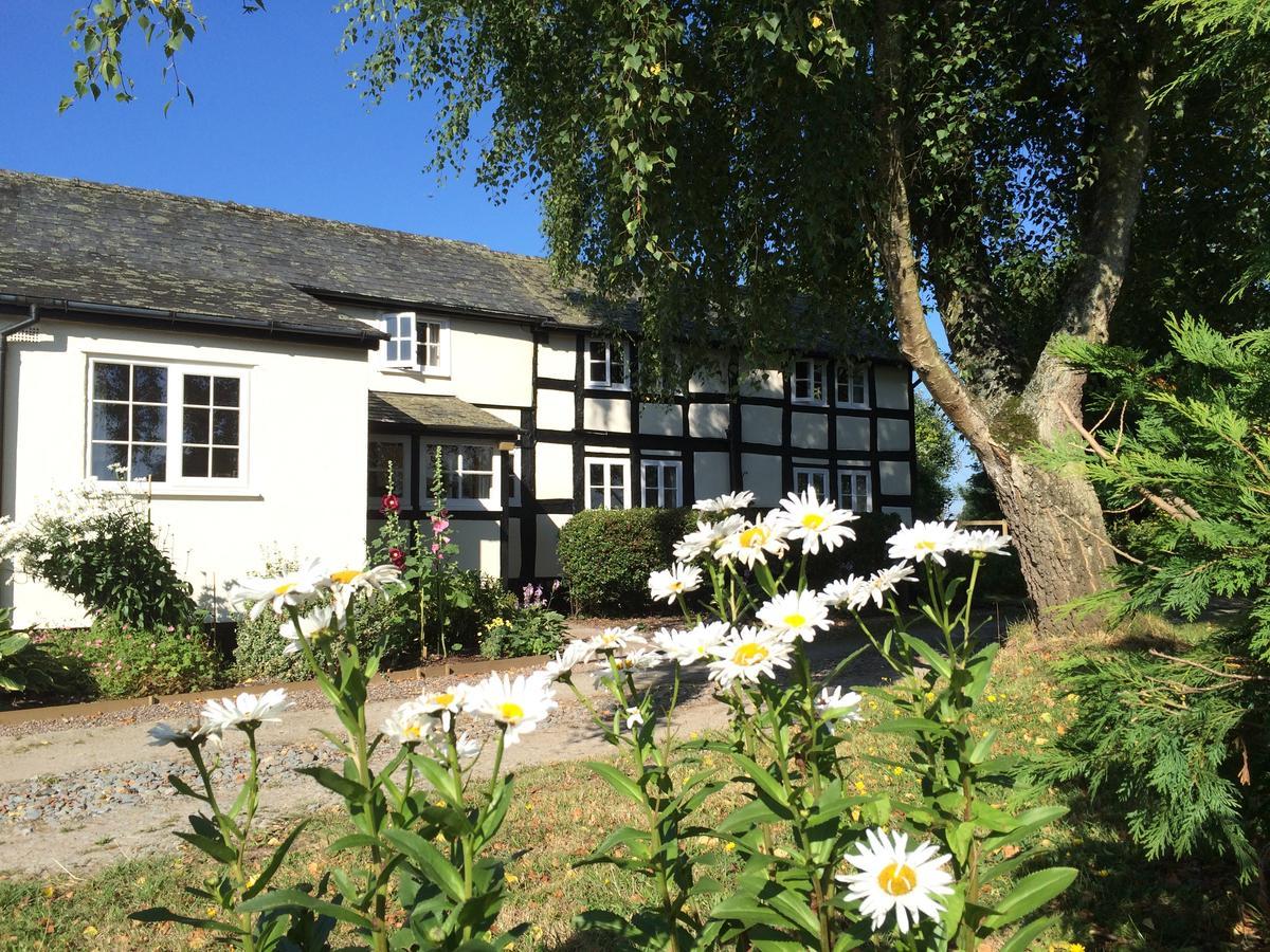 Yew Tree Cottage Leominster Exteriör bild